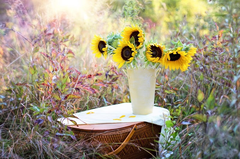 Summer Sunflowers